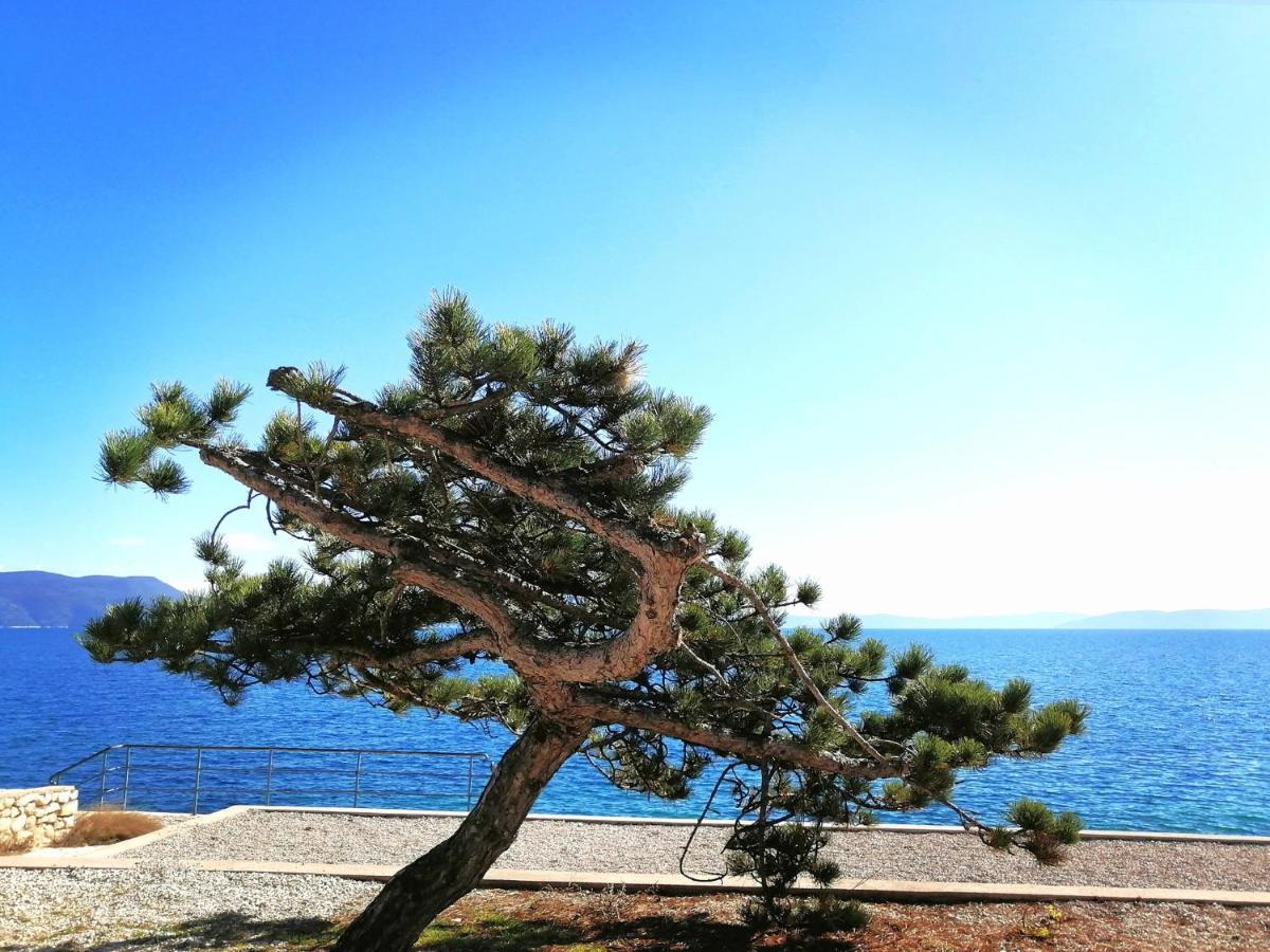 Apartment Rosanna - Intermezzo In Center Of Rabac Exterior foto